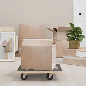 Platformy transportowe 2 szt. prostokątne 50x35x11,5 cm, 250 kg