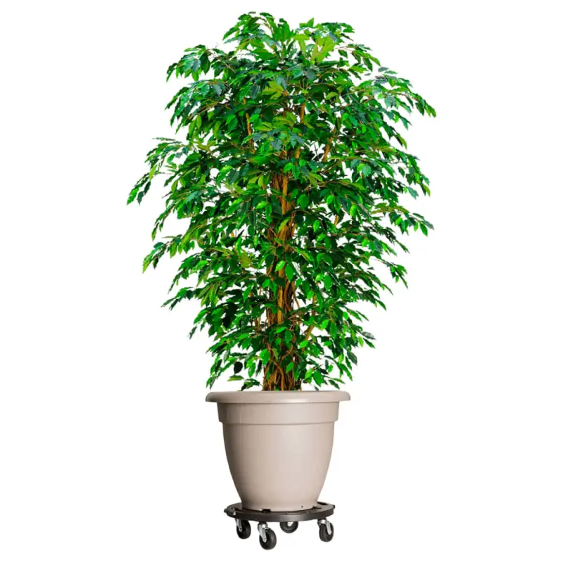 Podstawki pod donicę, z kółkami, 3 szt., 40 cm, czarne, 275 kg