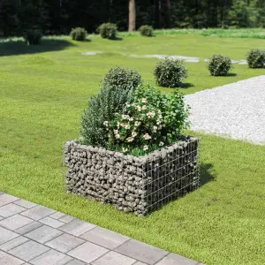 Podwyższona donica gabionowa, galwanizowana stal, 90x90x50 cm