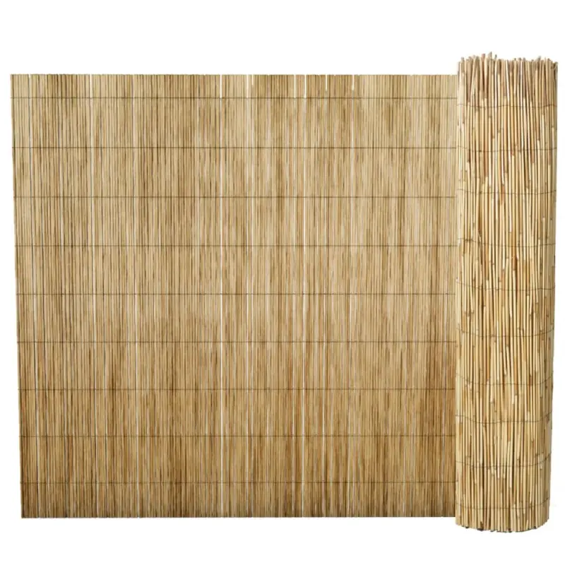 Ogrodzenie z trzciny, 100x1000 cm